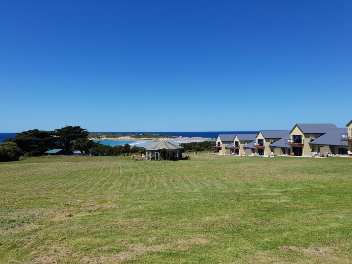Diamond Island Resort, Restaurant & Bar And Penguin Show Bicheno Exterior photo